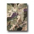 Hellenic Rug Imports, Inc. Essential Nature 4 X 6 Forest Area Ru