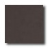 Crossville Cross-colors A 12 X 12 Polished Ebony Tile & Stone