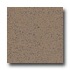 Armstrong Excelon Stonetex Premium Cocoa Brown Vinyl Flooring