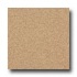 Armstrong Medintech Tandem Inlaid Sandalwood Vinyl