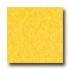 Armstrong Excelon Standard Rave Lemon Lick Vinyl Flooring