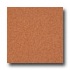 Armstrong Medintech Homogeneous Orange Zest Vinyl