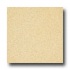 Armstrong Medintech Tandem Inlaid Golden Glow Vinyl Flooring