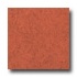 Armstrong Marmorette With Naturcote Mango Vinyl Fl