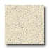 Armstrong Excelon Stonetex Premium Limestone Beige Vinyl Floorin