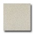 Armstrong Medintech Tandem Inlaid Natural Gray Vin