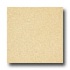 Armstrong Medintech Homogeneous Golden Glow Vinyl Flooring