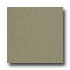 Armstrong Medintech Homogeneous Tea Garden Green V