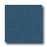 Armstrong Excelon Stonetex Premium Blue Ash Vinyl Flooring