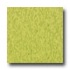 Armstrong Excelon Standard Rave Kickin Kiwi Vinyl Flooring