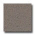 Armstrong Excelon Stonetex Premium Pumice Stone Vi