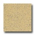 Armstrong Excelon Stonetex Premium Bamboo Yellow Vinyl Flooring