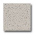 Armstrong Excelon Stonetex Premium Pebble Gray Vin