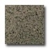 Daltile Granite 12 X 12 Silver Sea Green Tile  and  St