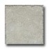 Cerdomus Pietra D Assisi 16 X 16 Grigio Tile & Stone