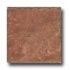 Cerdomus Pietra D Assisi 3 X 6 Rosso Tile & Stone