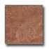 Cerdomus Pietra D Assisi 4 X 4 Rosso Tile & Stone