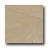 Daltile Era 24 X 24 Polished Trias Tile & Stone