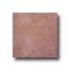 Interceramic Terrasse 6  X 6  Siena Tile & Stone