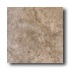 Cerdomus Tuscany 20 X 20 Noce Tile  and  Stone