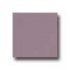 Interceramic Bold Tones 6 X 6 Orchid Tile  and  Stone