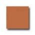 Interceramic Bold Tones 6 X 6 Terra Cotta Tile  and  S