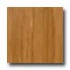 Hartco Premier Performance Maple 5 1/4 Honey Hardw
