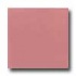 Daltile Semi-gloss 6 X 6 Carnation Pink Tile & Stone
