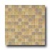 Daltile Maracas Glass Mosaics - Frosted Blend Wild Flowers Tile