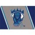 Milliken Columbia University 4 X 5 Columbia University Area Rugs