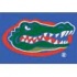 Milliken University Of Florida 3 X 4 University Florida Area Rug
