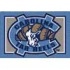 Milliken University Of North Carolina 3 X 4 U North Carolina Are