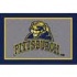 Milliken University Of Pittsburgh 3 X 4 University Pittsburgh Ar