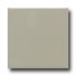 Daltile Modern Dimensions 4 1/4 X 8 1/2 Architectural Gray Matte