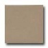 Daltile Modern Dimensions 2 1/8 X 8 1/2 Elemental Tan Tile & Sto