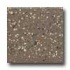 Daltile Keystones Unglazed Mosaic 1 X 1 Artisan Brown Speckle Ti