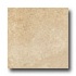 Ergon Tile Green Tech 12 X 12 Rectified Sand Tile & Stone