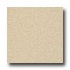 Armstrong Possibilities Petit Point Brushed Sand Vinyl Flooring