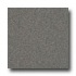 Armstrong Possibilities Petit Point Charcoal Gray Vinyl Flooring