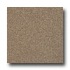 Armstrong Possibilities Petit Point Chocolate Delite Vinyl Floor
