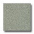 Armstrong Possibilities Petit Point Eastern Sage Vinyl Flooring
