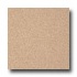 Armstrong Possibilities Petit Point Ginger Peach Vinyl Flooring