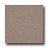 Armstrong Possibilities Petit Point Purple Brown V