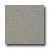 Armstrong Possibilities Petit Point River Bed Viny
