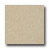 Armstrong Possibilities Petit Point Sand Bar Vinyl