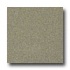 Armstrong Possibilities Petit Point Tea Garden Gre