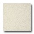 Armstrong Possibilities Petit Point White Sand Vin