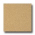 Armstrong Possibilities Petit Point Woodtone Blush