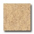 Armstrong Translations Almond Vinyl Flooring