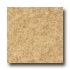 Armstrong Translations Antique Brown Vinyl Flooring